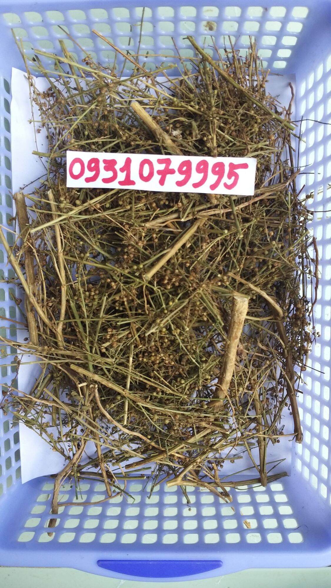 cây cam thảo đất - cam thảo nam phơi khô 1kg
