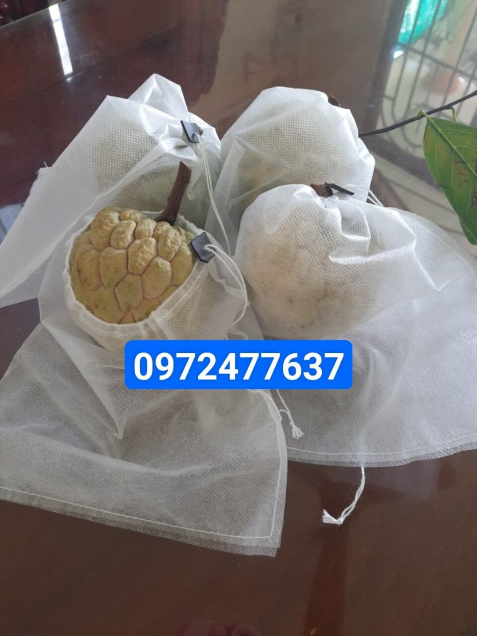 100 Túi 18*20 Bọc ổi, na, mận, cam