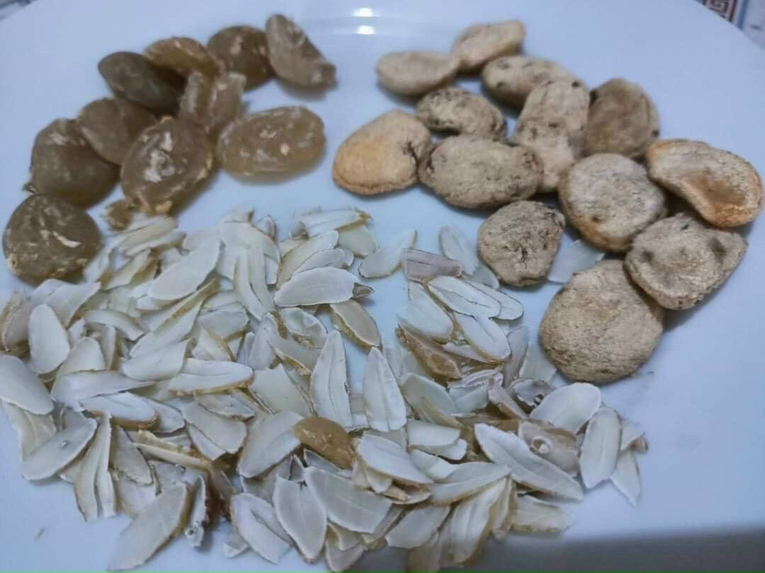 10 hạt sang hạt sành trắng dạ dày, đại tràng đường ruột