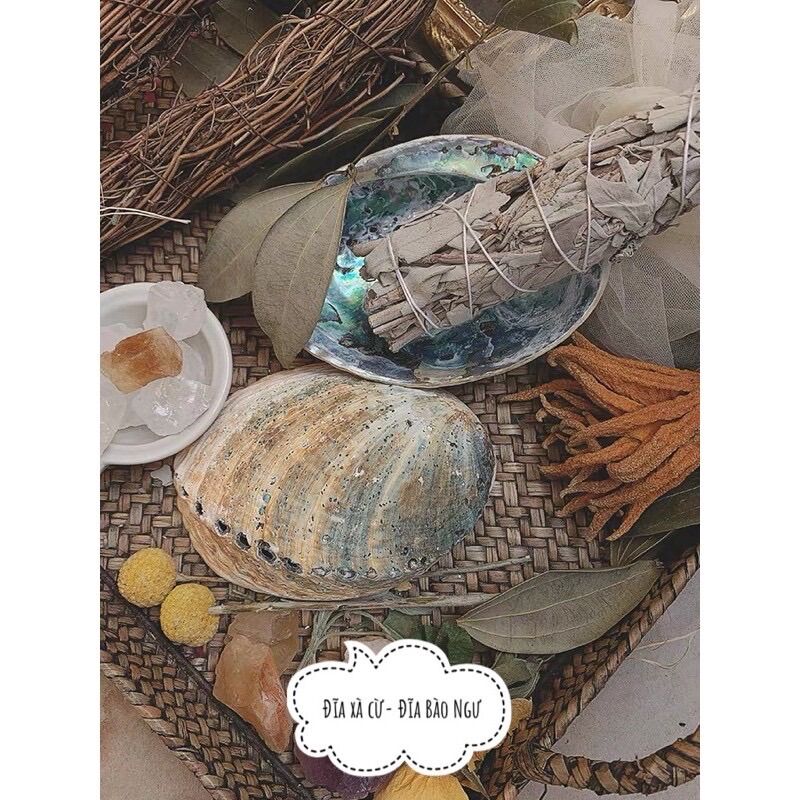 Đĩa ốc Xà Cừ- Đĩa đốt sage