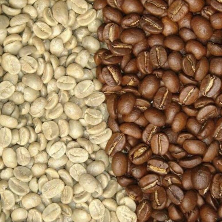 1KG CÀ PHÊ HẠT NHÂN SỐNG CHƯA RANG ROBUSTA NHÂN XUẤT KHẨU