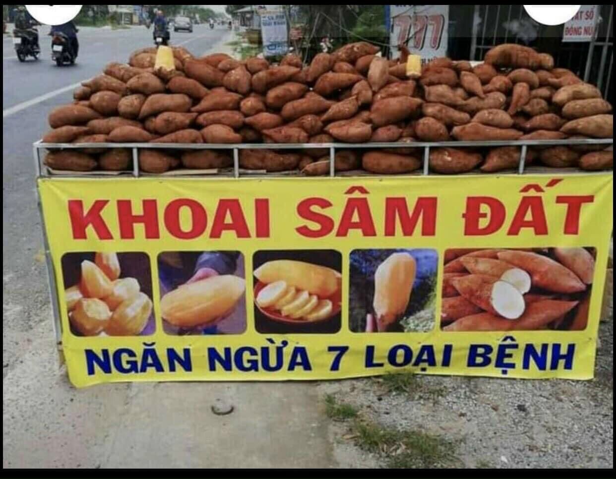 Combo 3kg KHOAI SÂM ĐẤT Lào Cai ăn sống (củ 4-5củ/1kg)