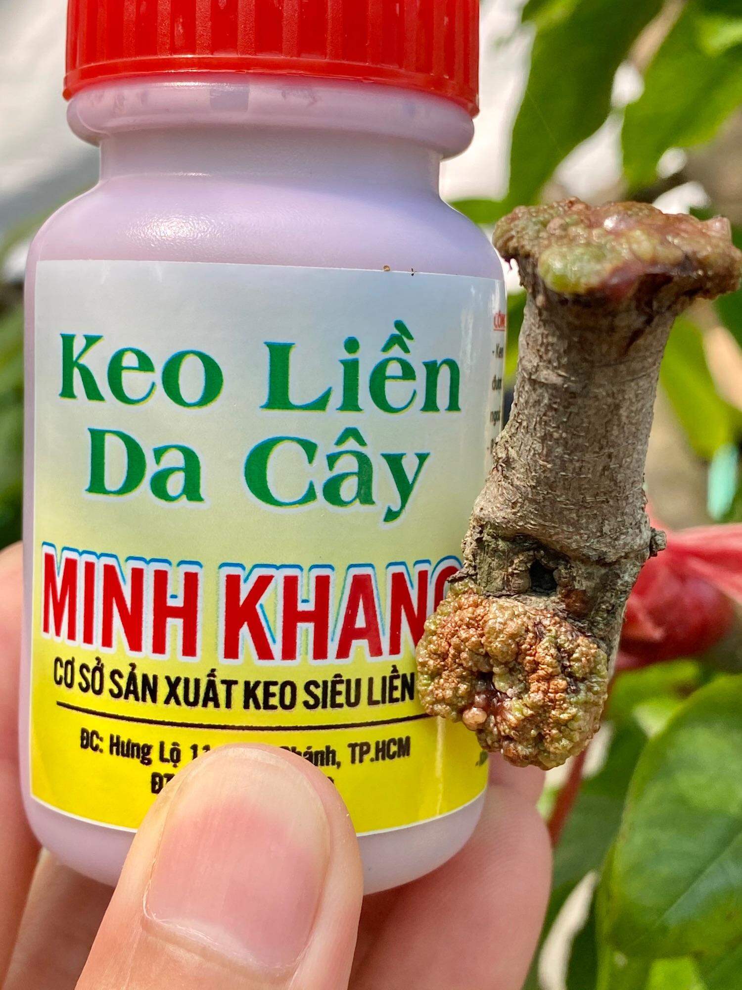 Keo Liền Da Minh Khang Chính Hãng