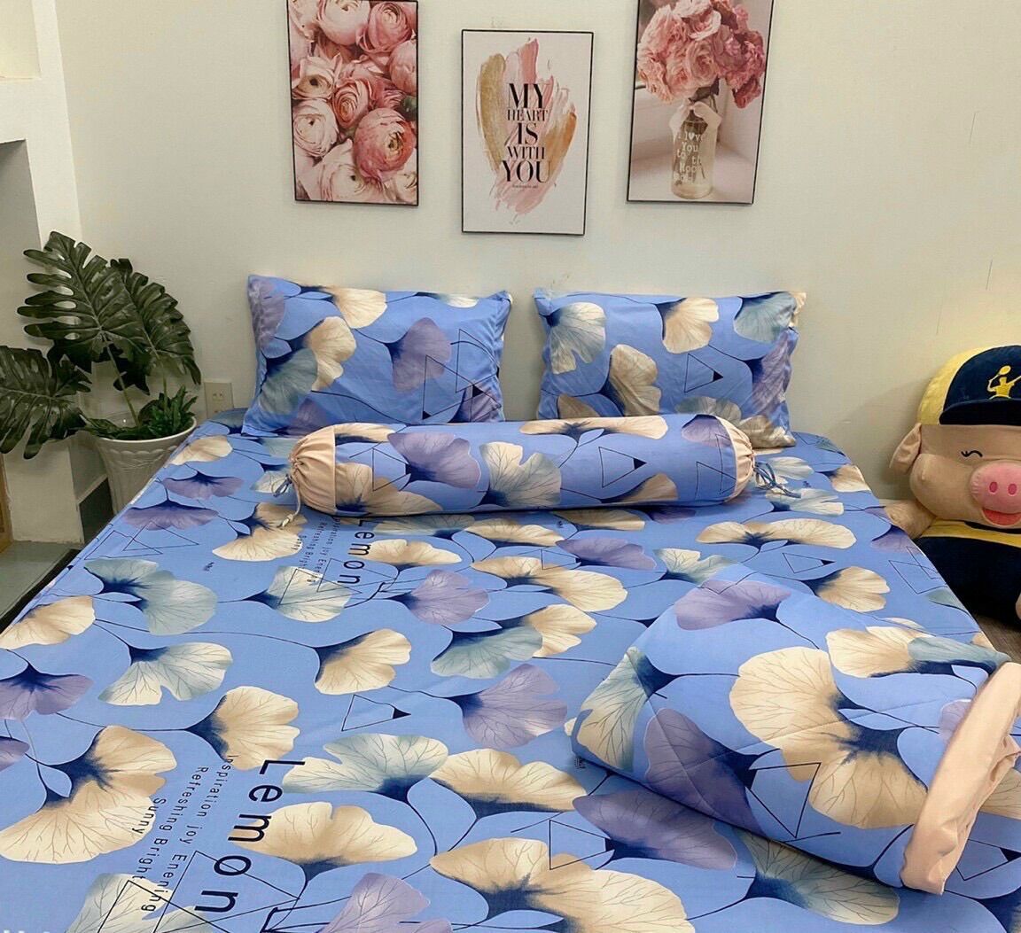 Set 4 drap áo gối THUN LẠNH HÀN QUỐC