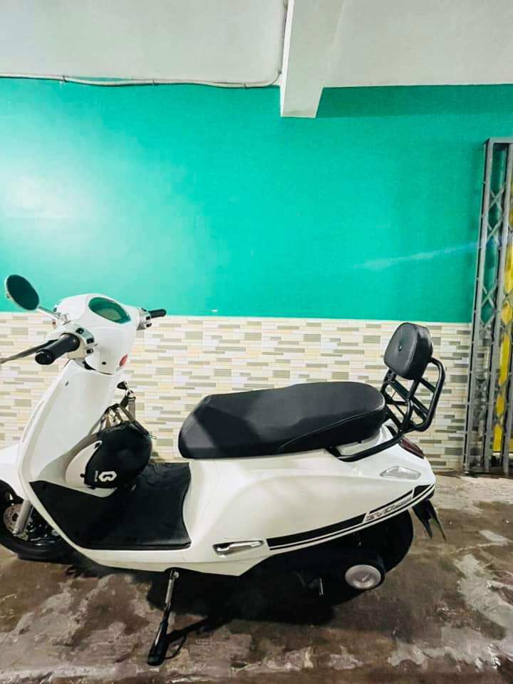 Baga tựa lưng có đệm VinFast EVO200, Evo200lite