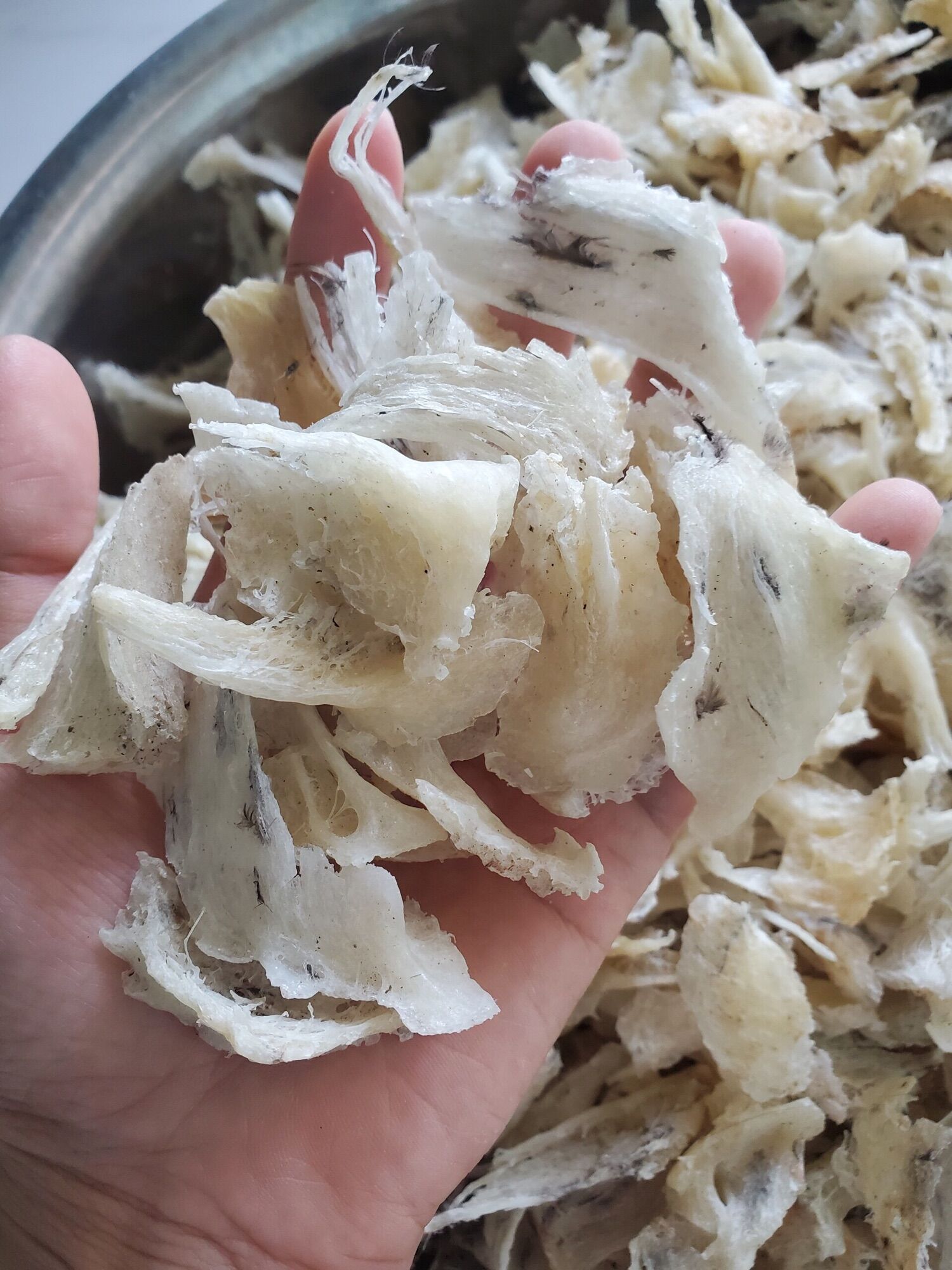 Chân yến thô to chân tổ yến to già trắng sạch ít lông