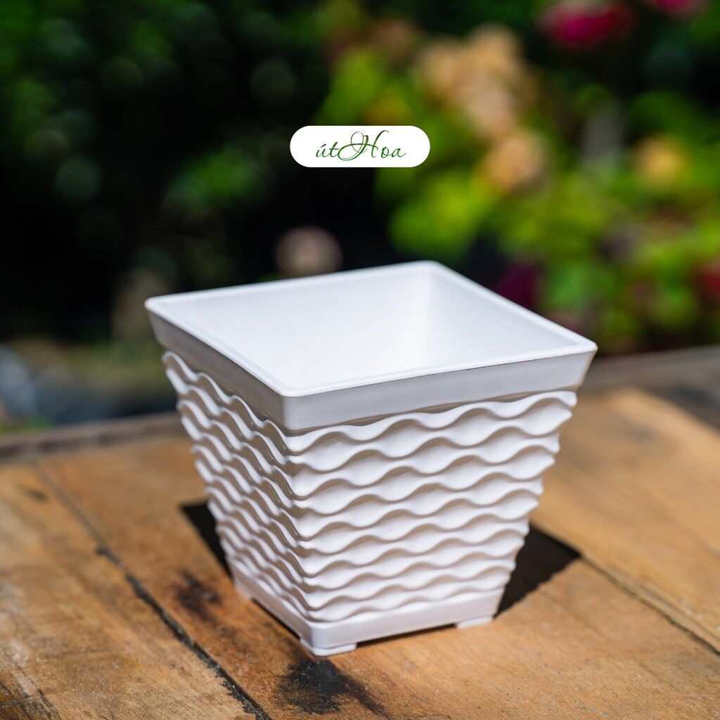 Chậu Để Bàn Mắt Lưới Vuông Trồng Hoa Kiểng