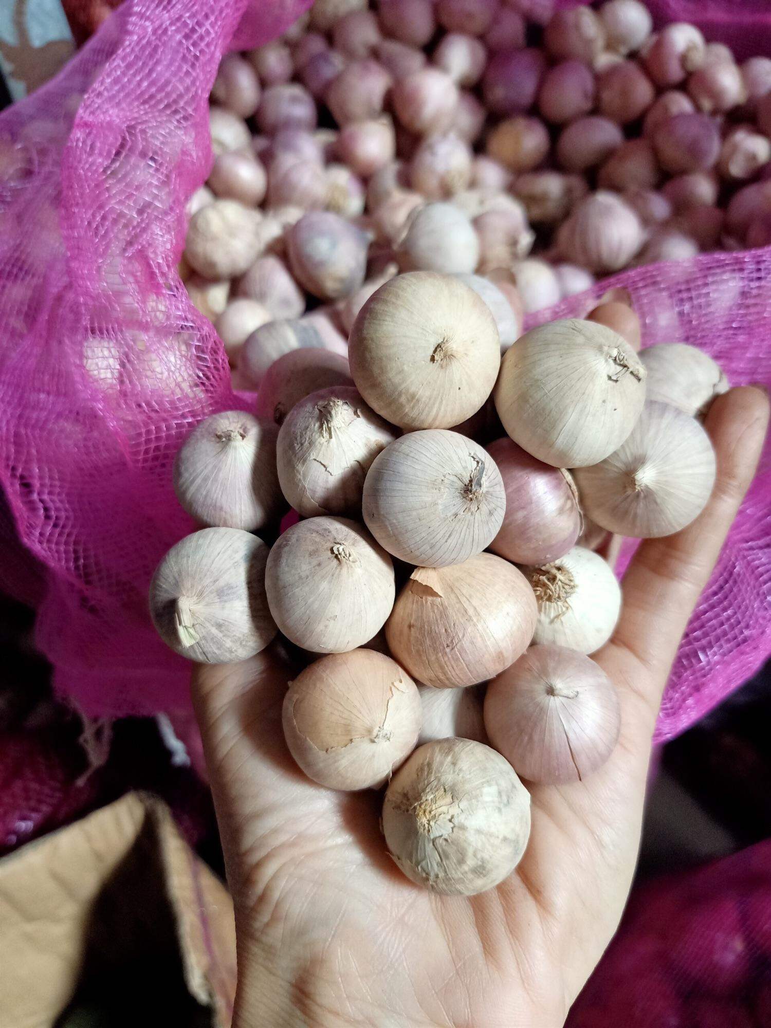 1kg tỏi cô đơn lý Sơn