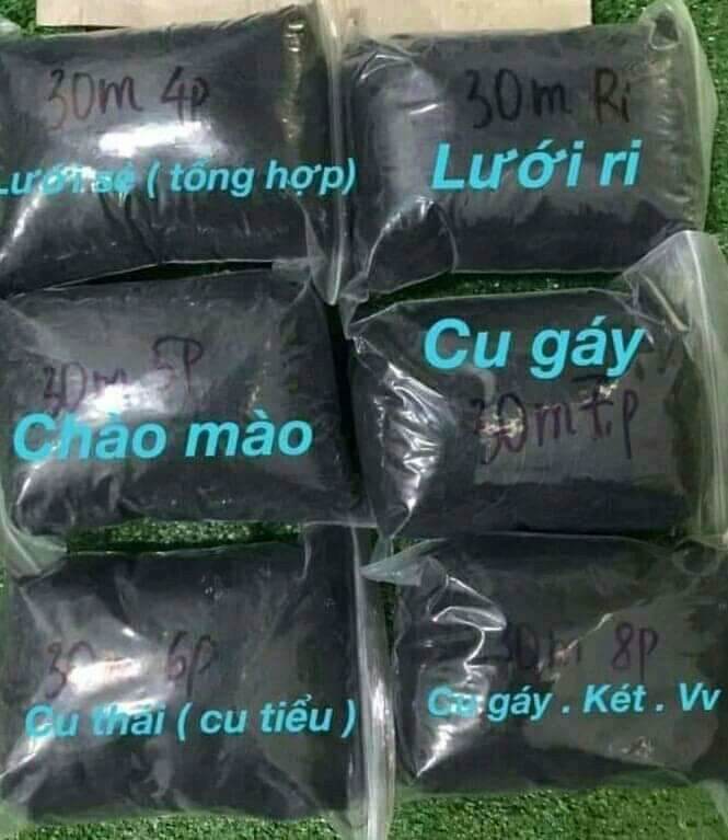 30m chim cu