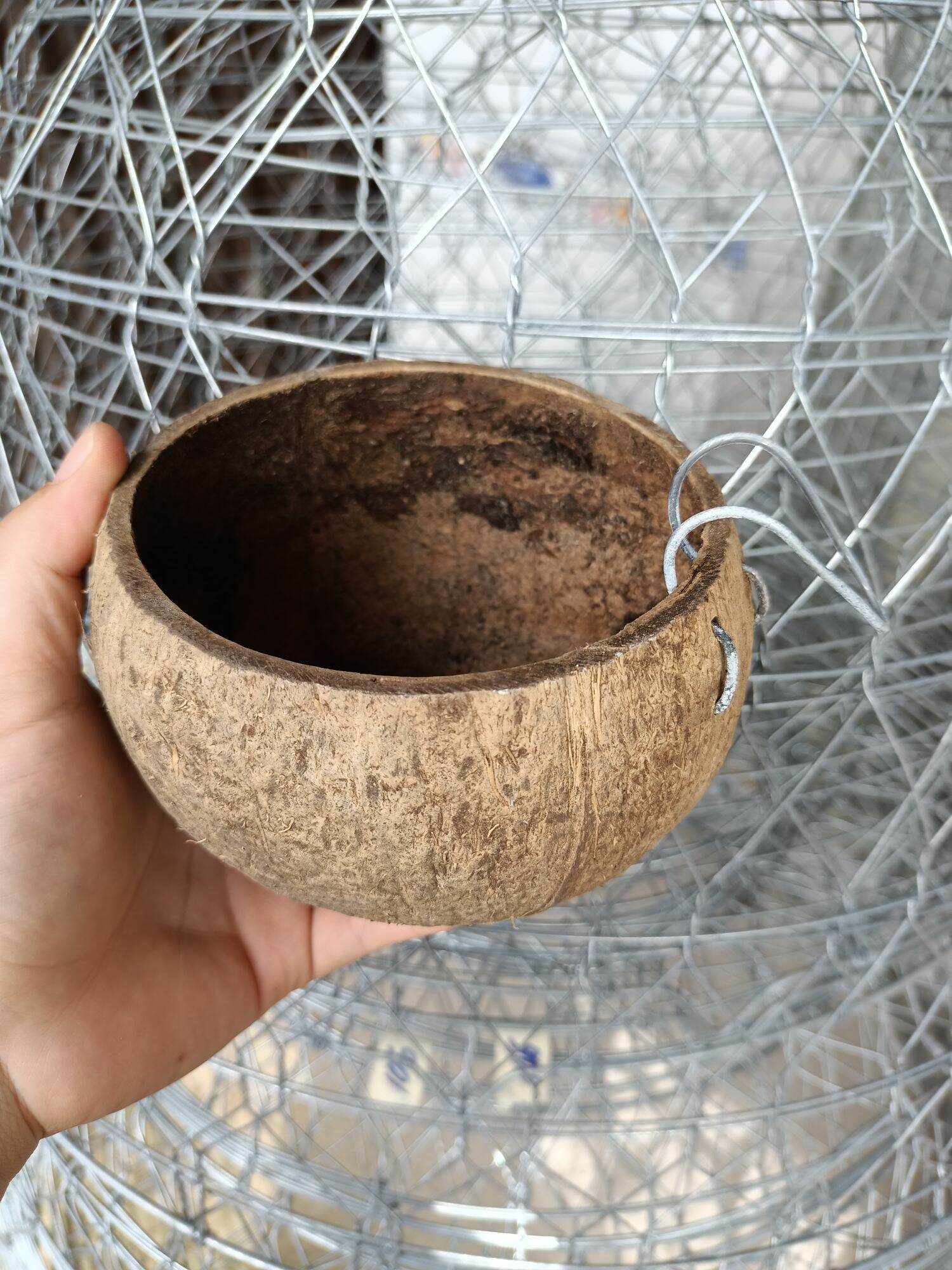 gáo dừa cho gà, chim đựng thức ăn, nước uống