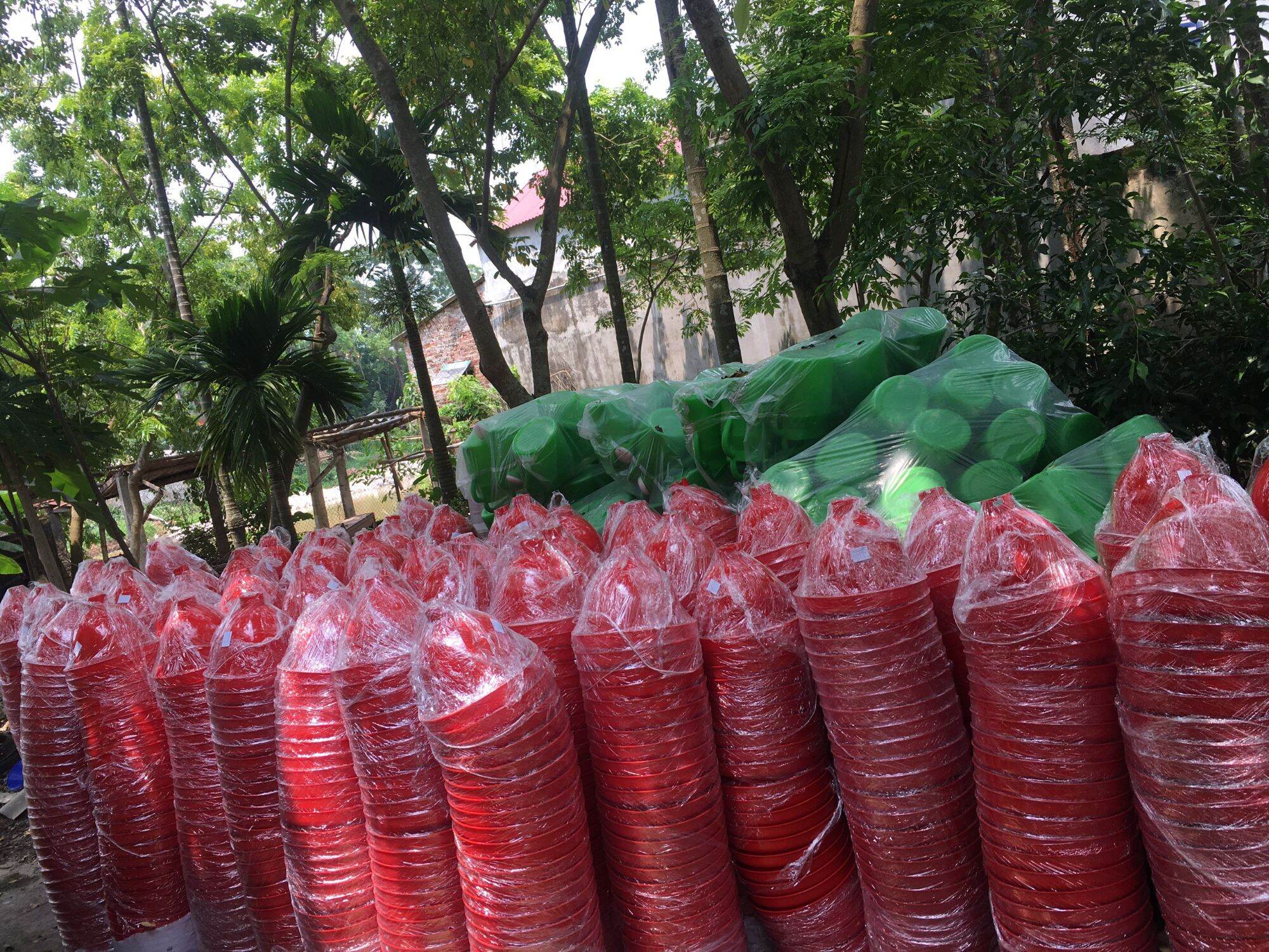 máng chuông tự động thái lan
