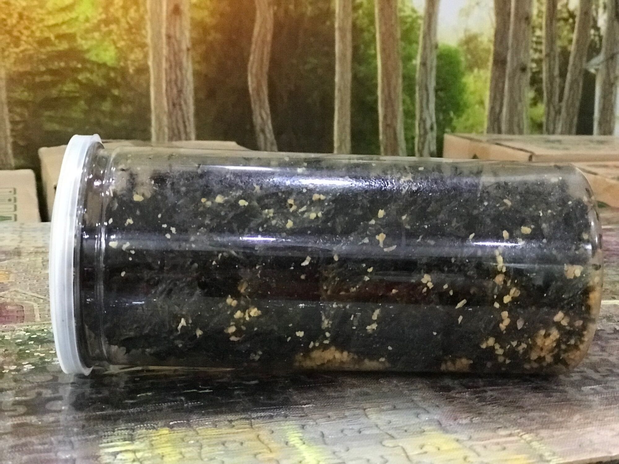Rong Biển Cháy tỏi Lon 150gr