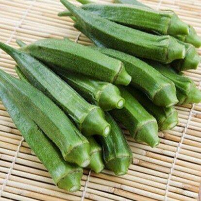 Hạt giống Đậu Bắp cao sản