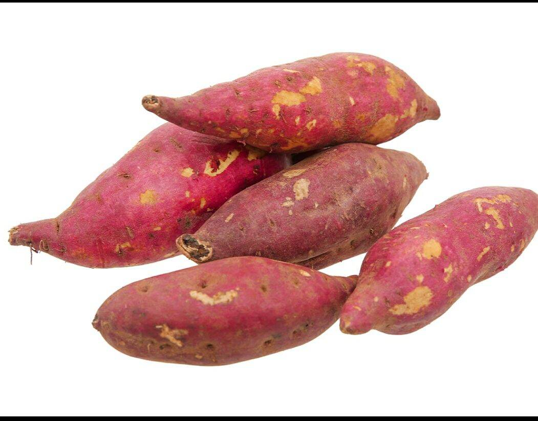 1 KG KHOAI LANG MẬT ĐẶC SẢN BÌNH ĐỊNH