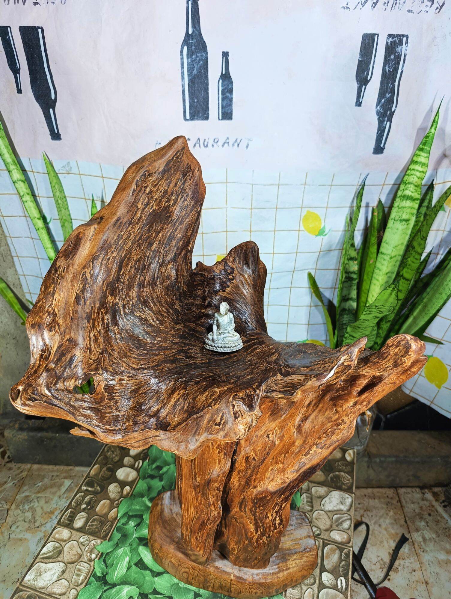 lũa ngọc am đỏ hà giang