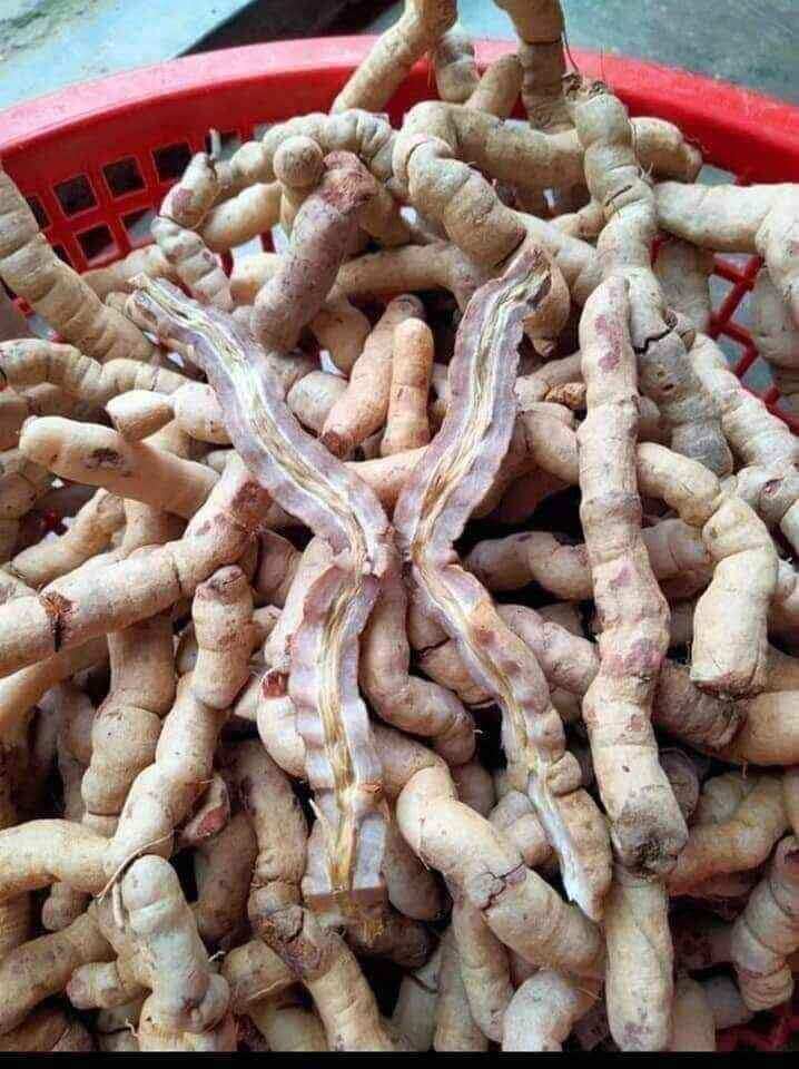 Chuẩn ba kích tím Quảng Ninh hàng A1:500g