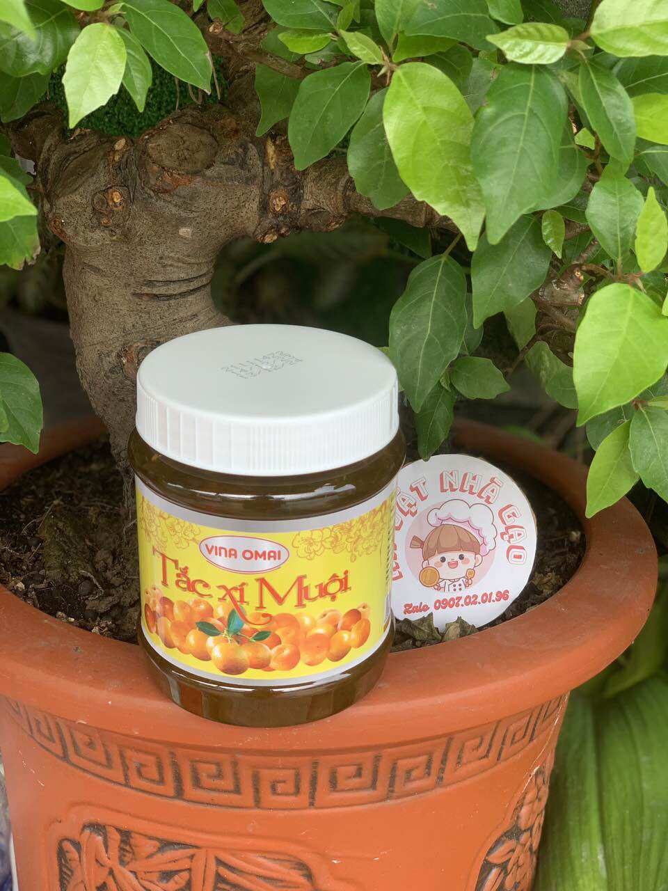 Tắc Xí Muội 900g