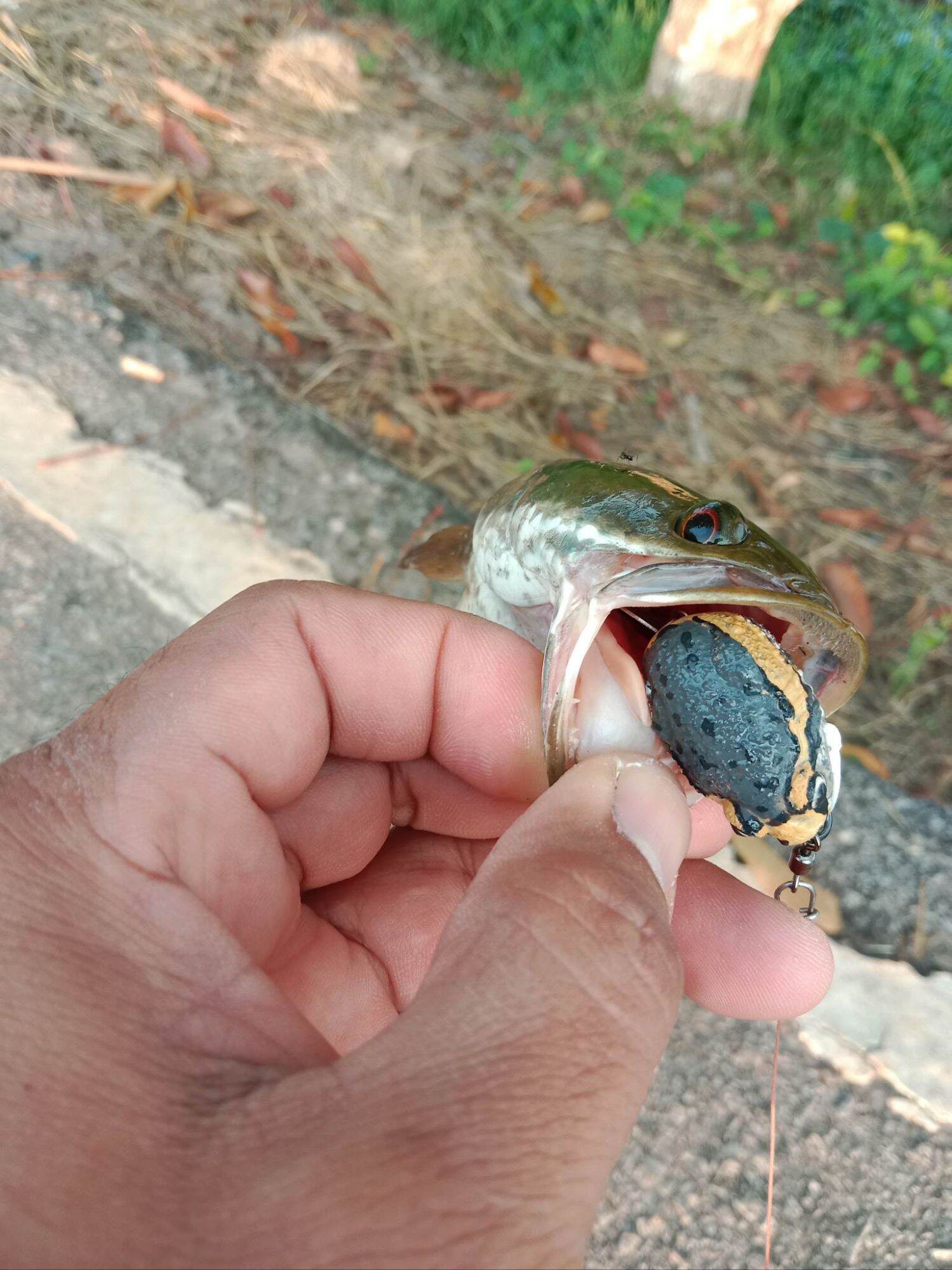 Mồi Câu BJ FROG 3cm 5.2g THAILAND