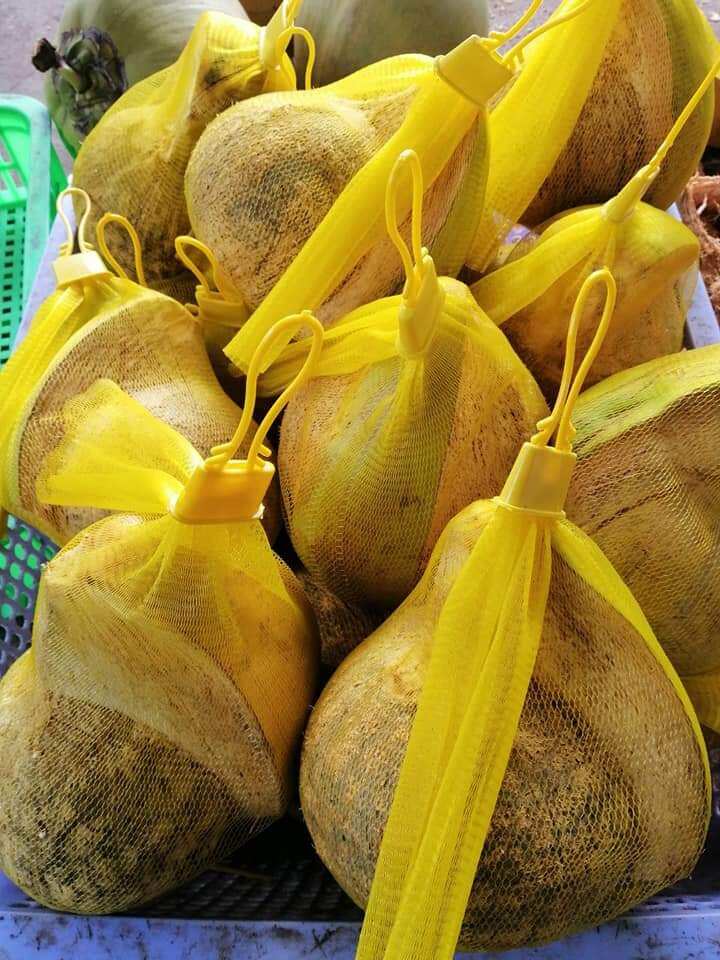 Dừa sáp loại 1, loại đặt ruột