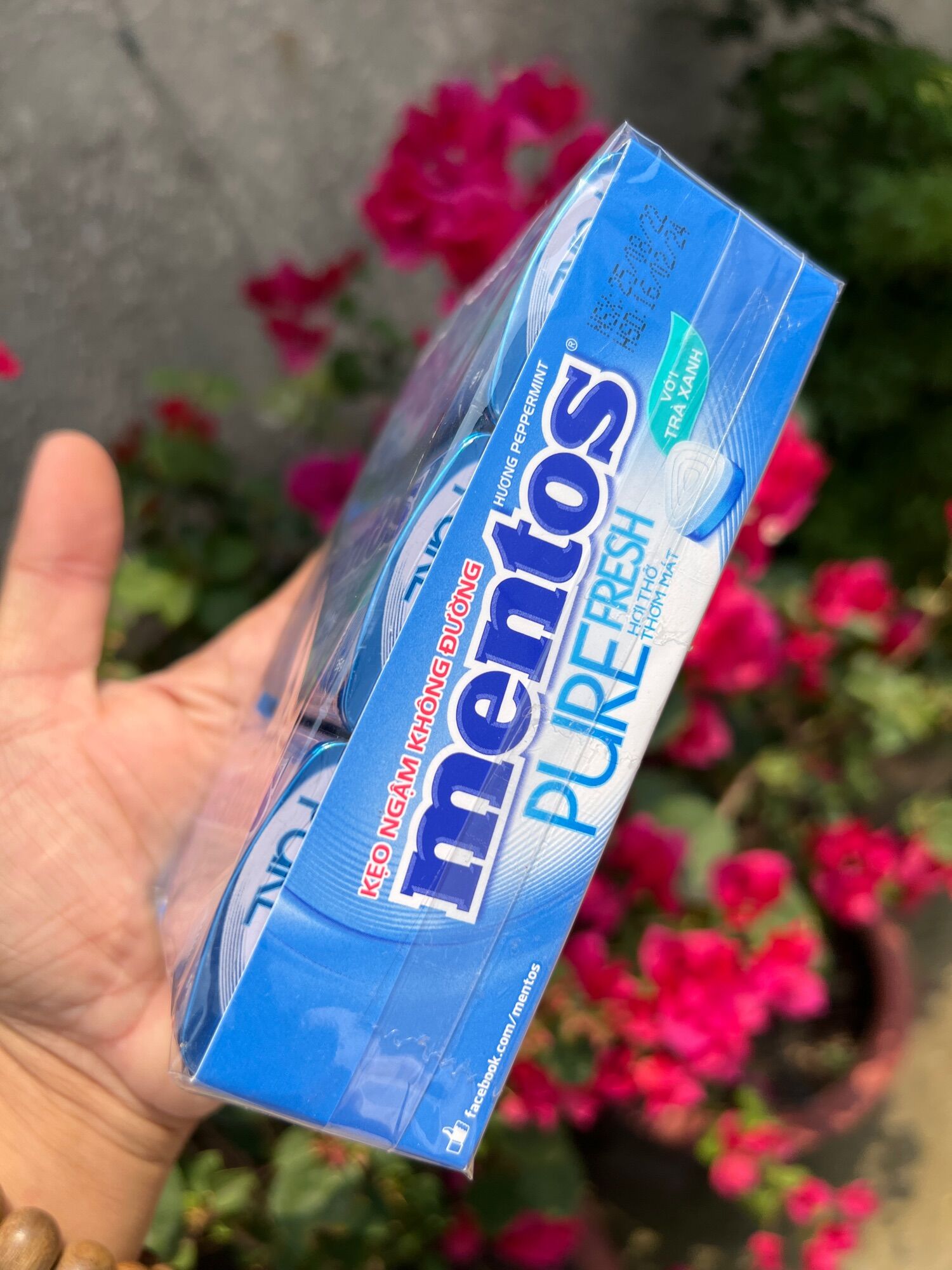 Kẹo ngậm mentos 6 lọ×35g