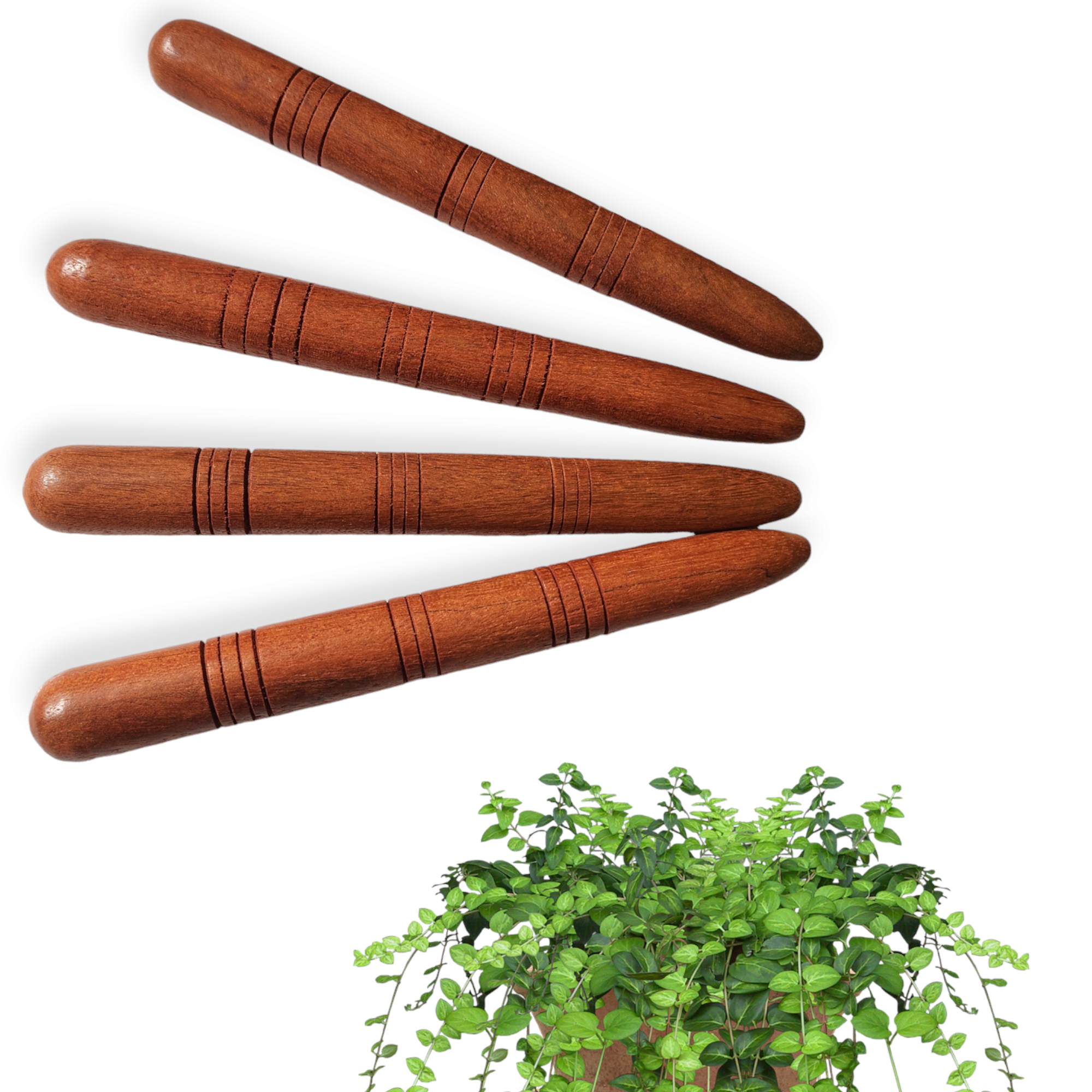 Dụng Cụ Ấn Huyệt Gỗ Đa Năng 13.5cm - Massage Bàn Chân, Lưng, Mặt | Dụng Cụ Massage Tự Nhiên, An Toàn, Hiệu Quả | Phù Hợp Cho Gia Đình