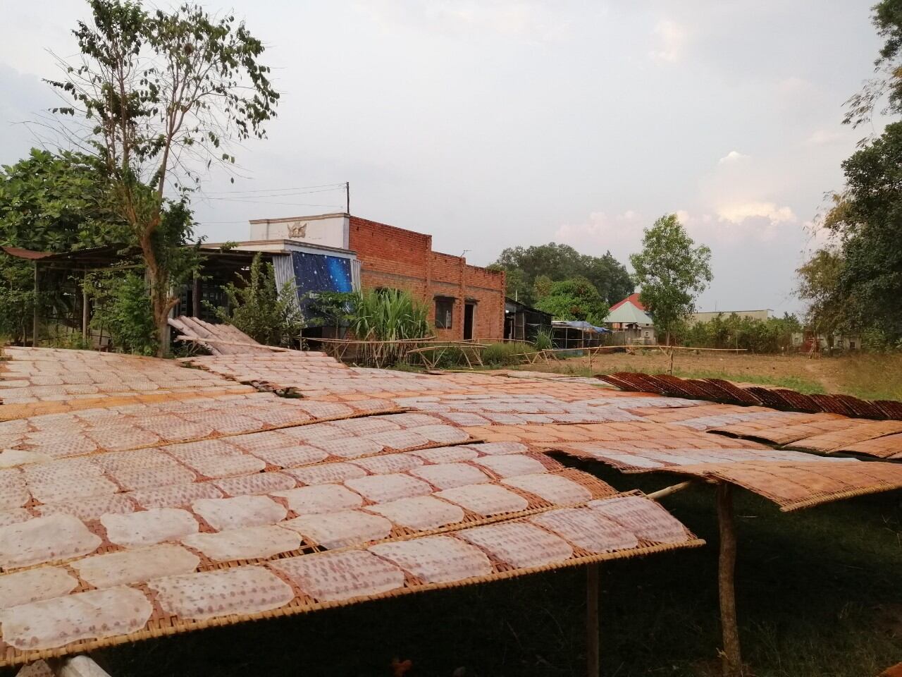 Bánh tráng tôm dẻo phơi sương 500g