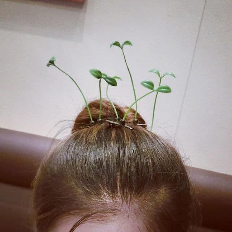 10 Kẹp tóc mầm cây cute