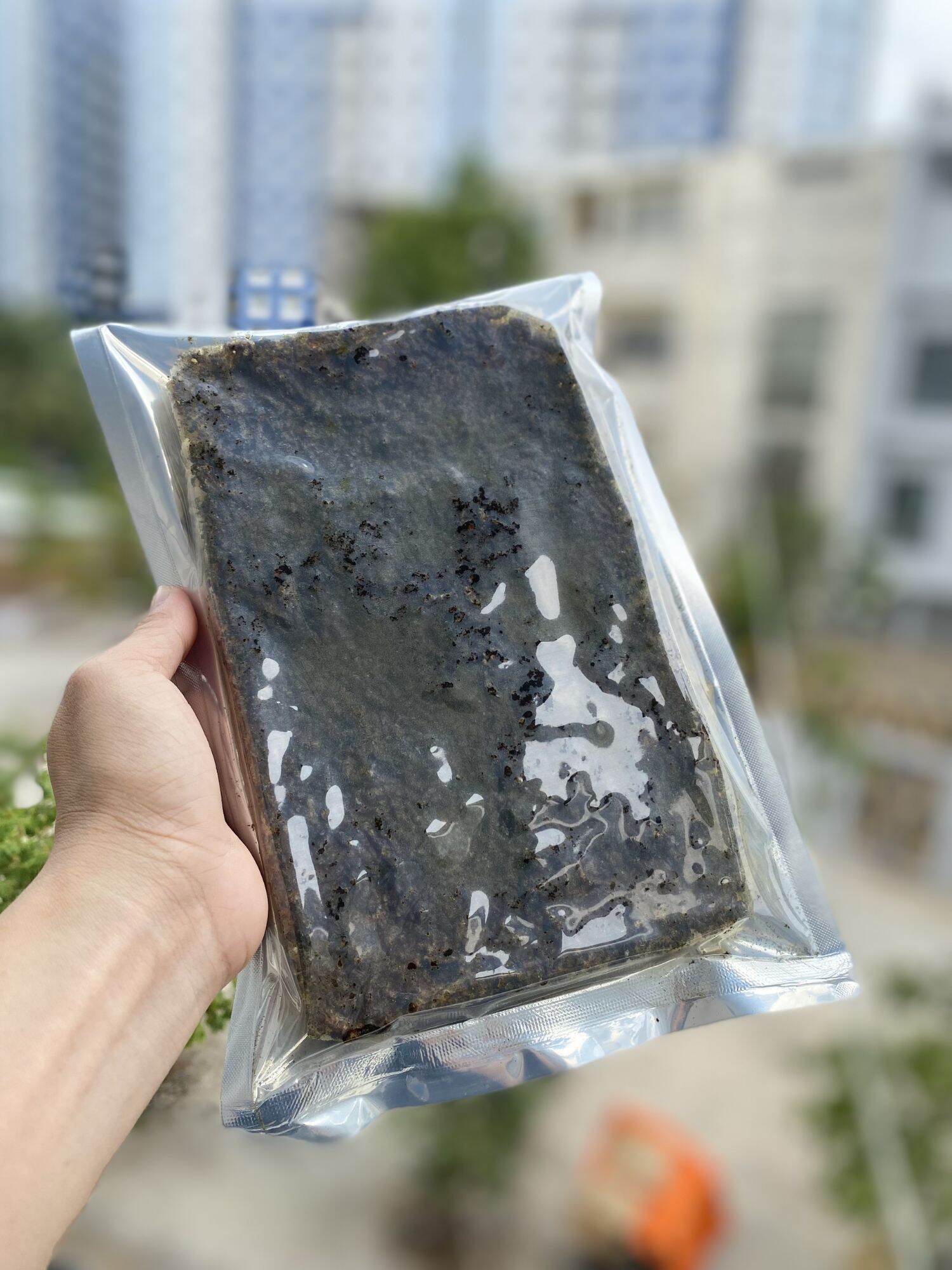 CƠM CHÁY GẠO LỨT RONG BIỂN/ CHÀ BÔNG 200g