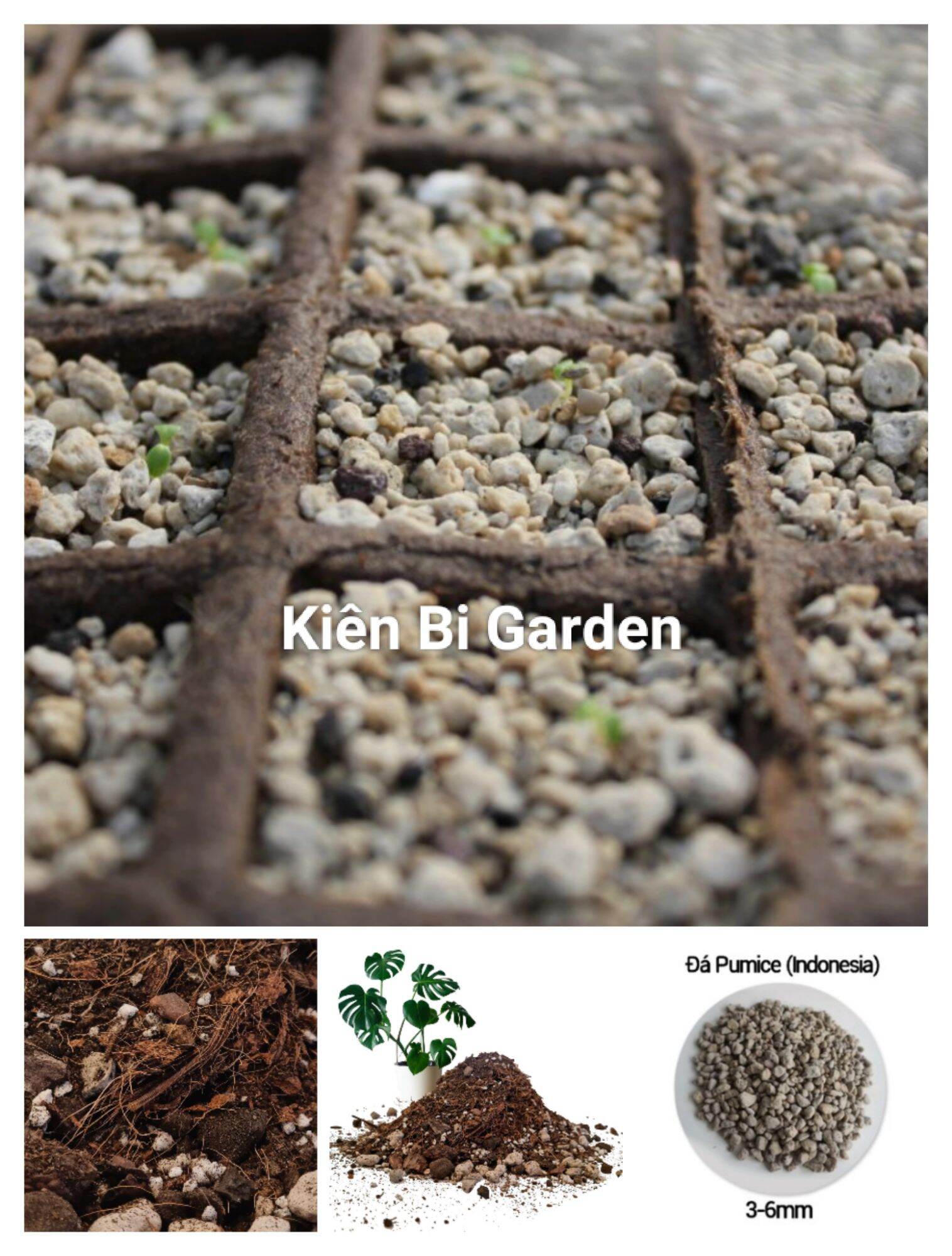 KienBiGarden 1Kg Đá Pumice Indonesia 3-6 sạch bụi