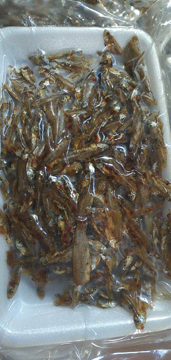 Khô cá cơm rim. 30k/100g