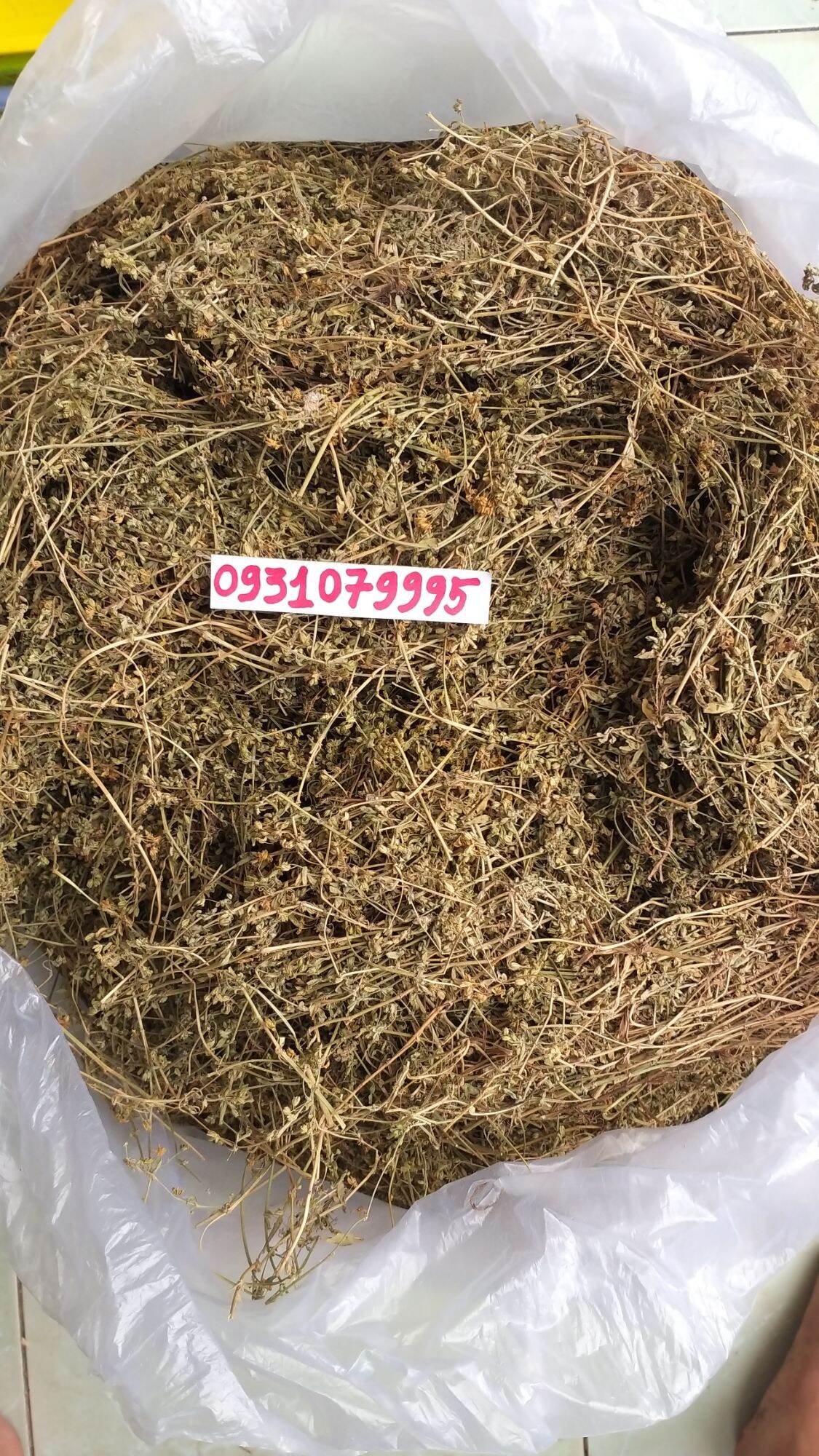 Rau đắng đất phơi khô 1kg