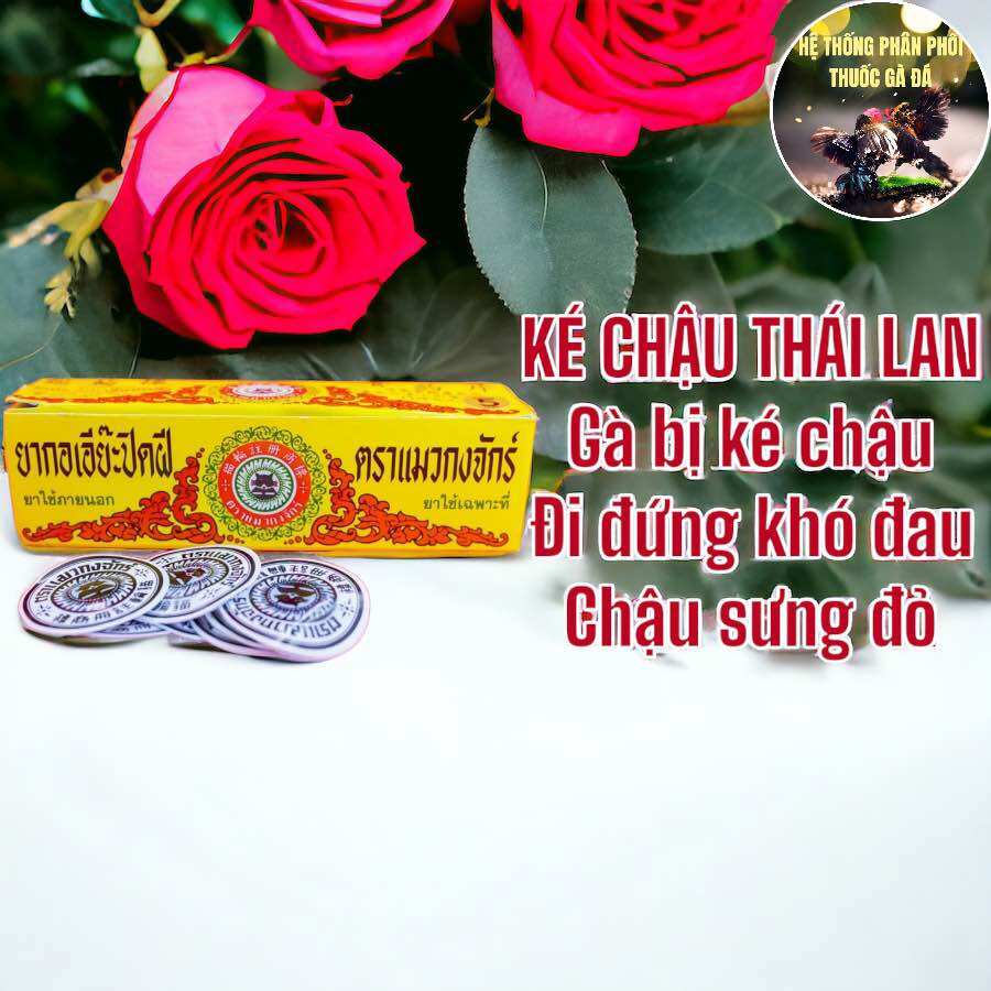 Combo 2 miếng dán ké chậu cho gà đá
