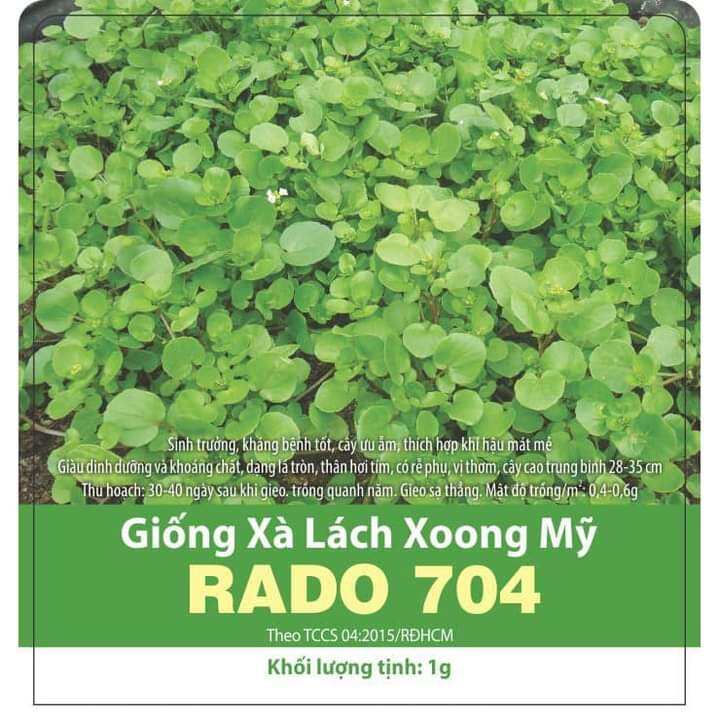 Hạt giống xà lách xoong