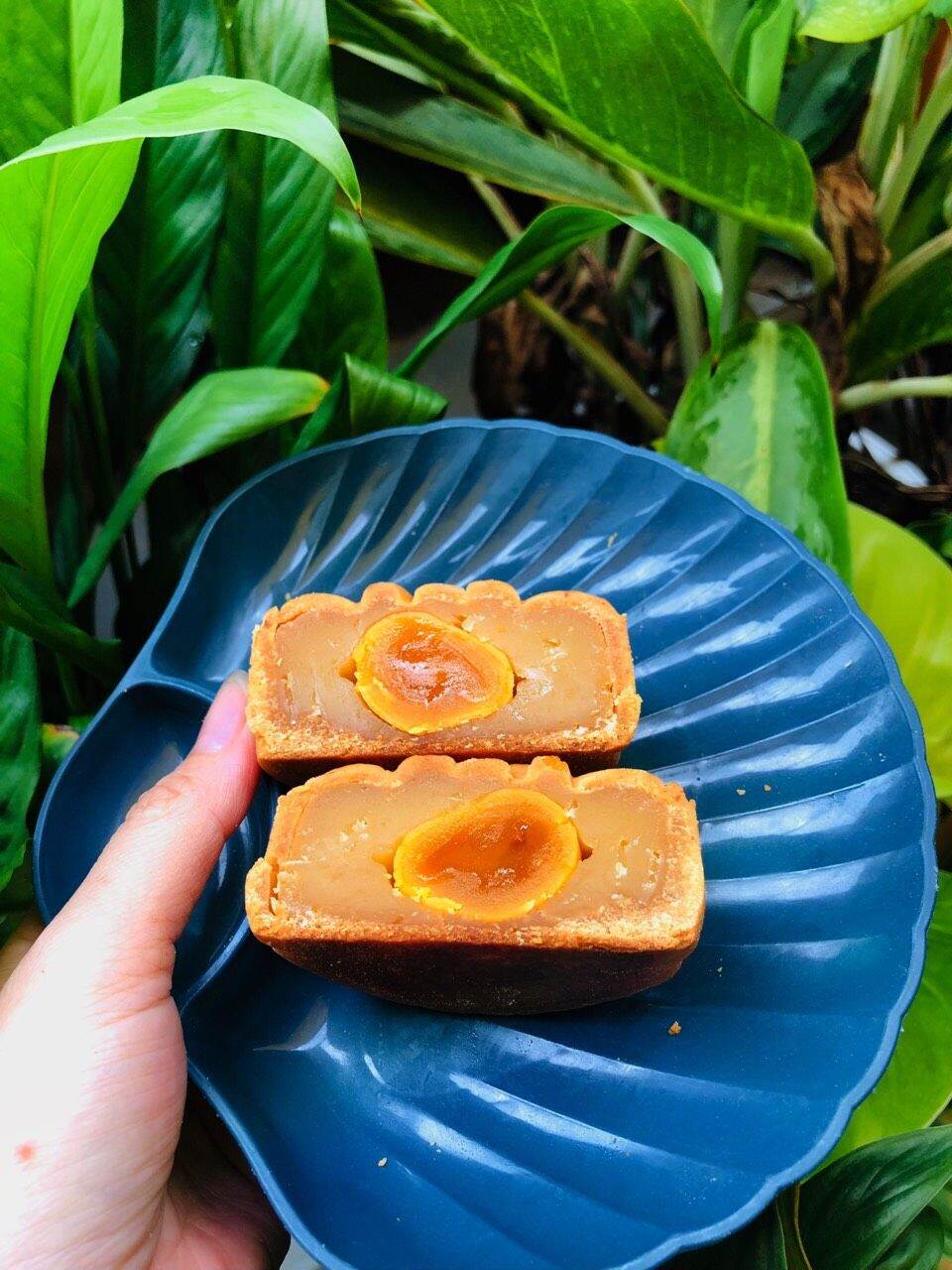 Bánh trung thu đậu xanh sữa dừa,đậu xanh trứng muối handmade