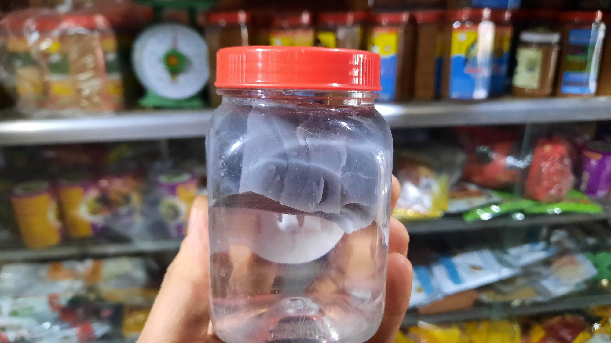 keo bẫy chim cao cấp