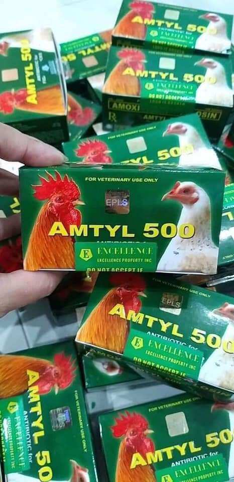 Amtyl 500 chữa tang, viêm nhiễm hô hấp cho gà