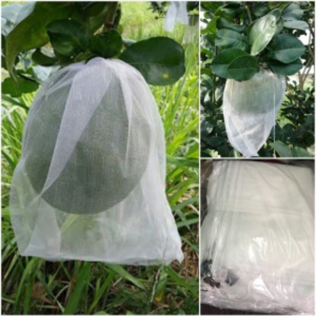 Túi bao trái bưởi, mãng cầu xiêm, đu đủ. 50 cái 26x30cm và 30x35cm