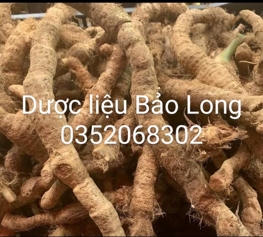 CỦ TỨN KHỬN