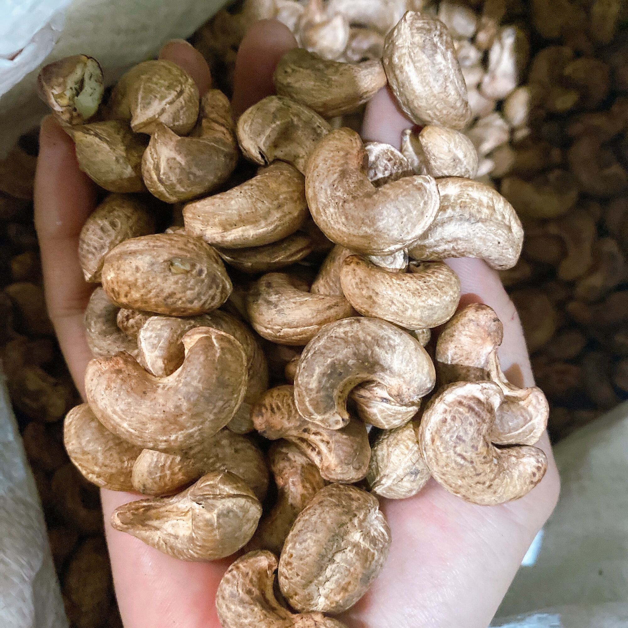 500G Hạt điều nguyên lụa rang muối Bình Phước Size A