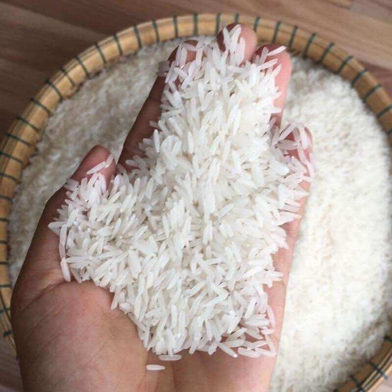 GẠO ST25 LÚA TÔM AAN [ Chính hãng ] - Túi 5kg