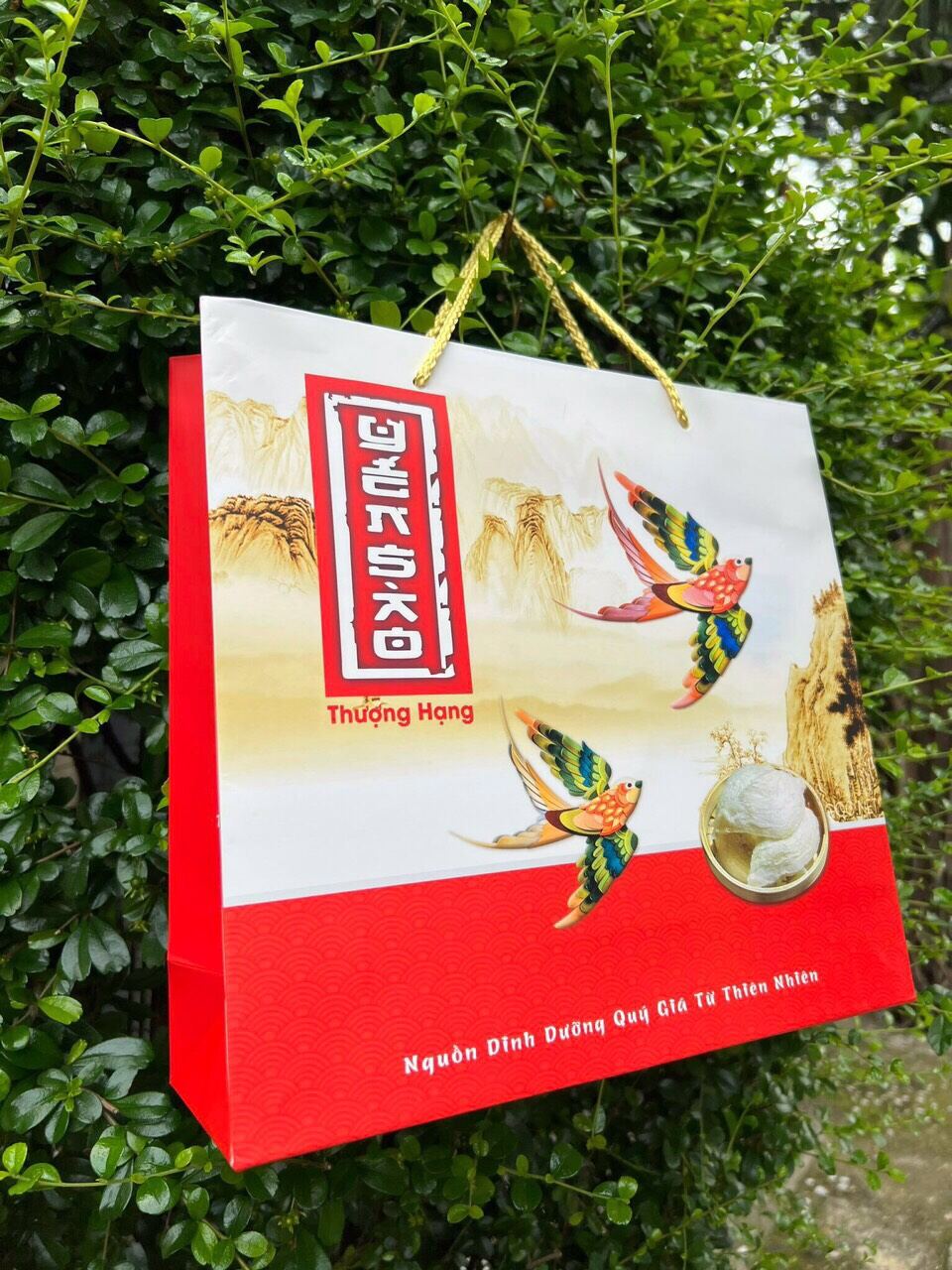 Túi giấy đựng yến sào 100 gr