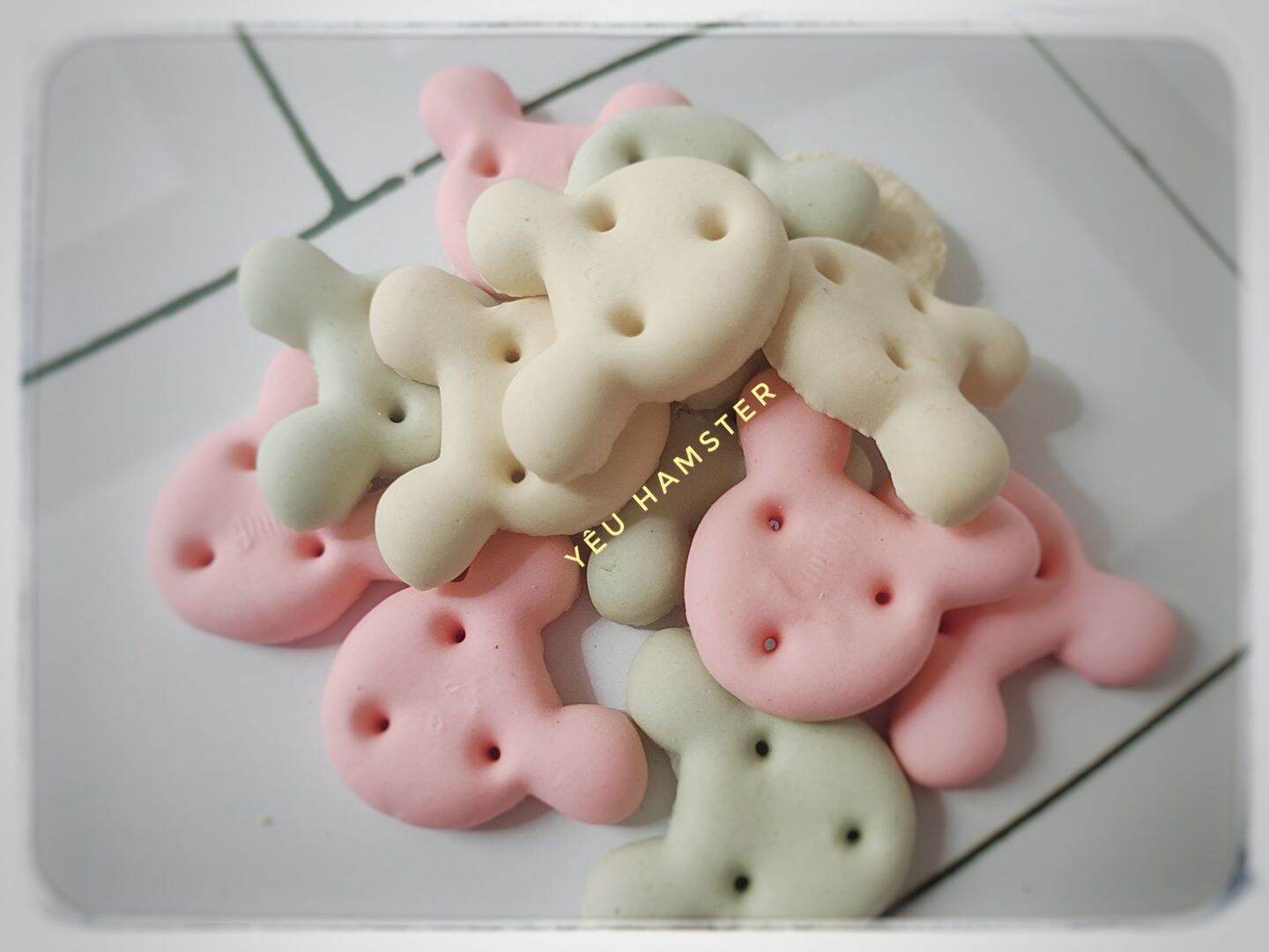 Cookie Gấu- Mài răng siêu thơm dành cho Hamster, thú cưng