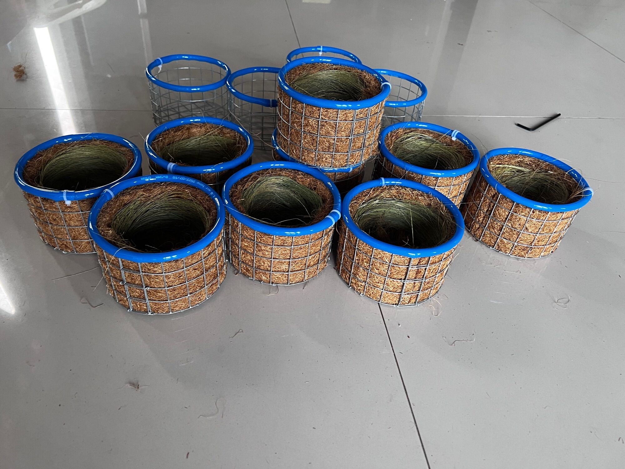 Tổ chim chào mào viền xanh  (tặng kèm bông đót và sơ dừa)