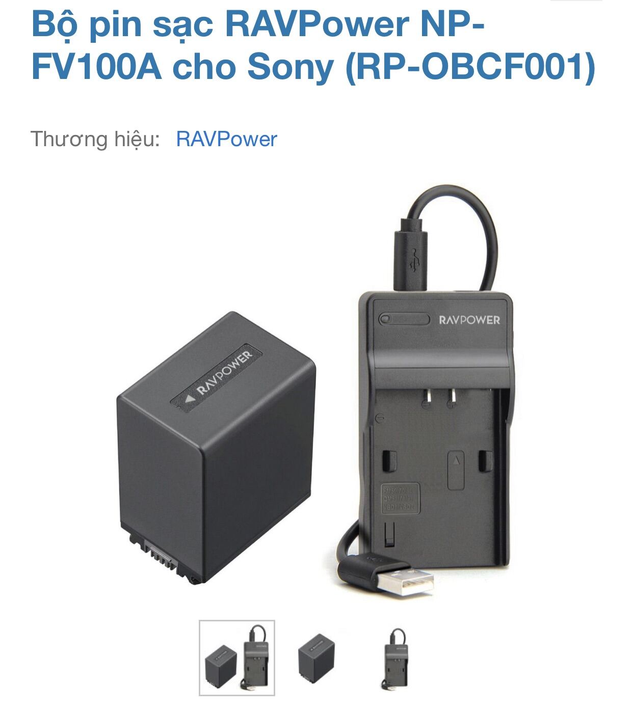 Bộ pin sạc máy quay Sony NP-FV100A hãng Ravpower RP