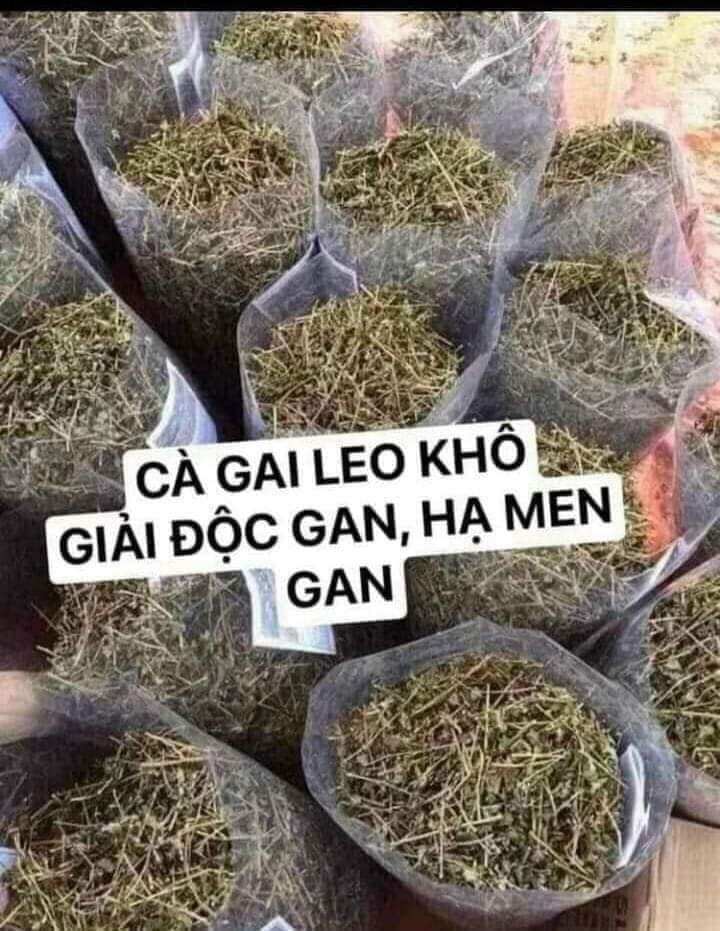 Cà gai leo, cà gai leo khô Hòa Bình ( 1Kg) mát gan
