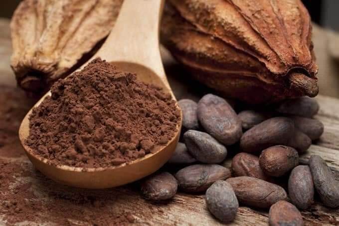 Hộp 500gram Bột cacao Đăk Lăk nguyên chất 100%