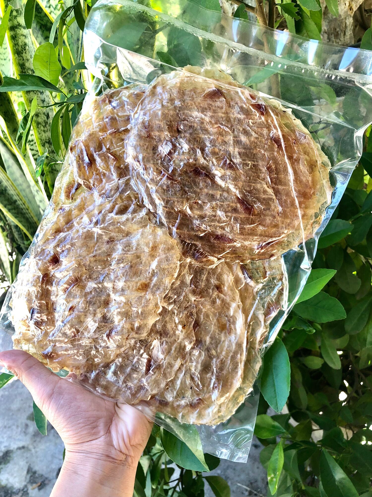 500Gr Khô Cá Bò Loại 1 - Đặc Sản Bình Định
