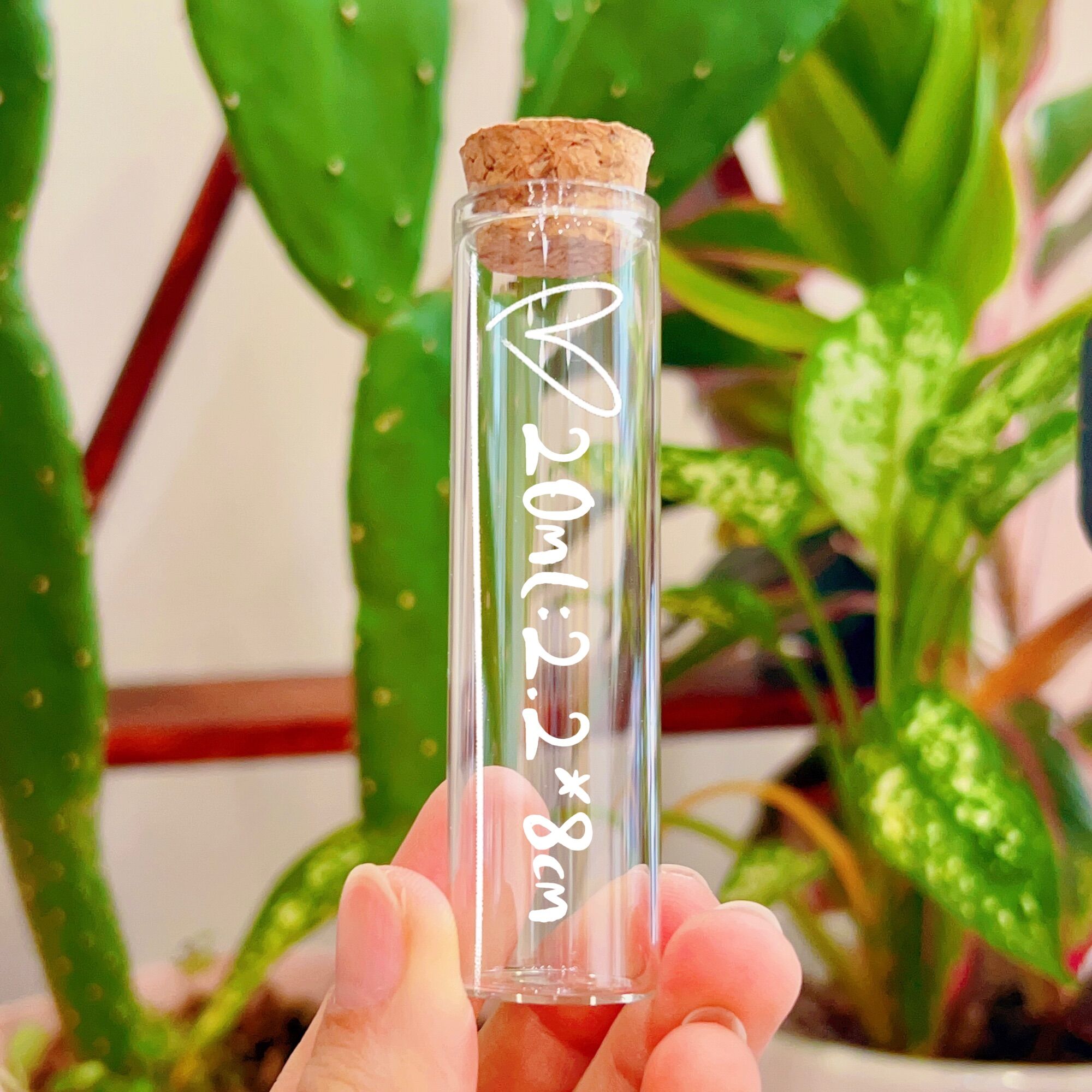 ❣️hot❣️lọ thủy tinh trơn nút bần cao cấp đường kính 2.2cm dung tích 10ml/15ml/20ml❣️ảnh thật shop chụp❣️