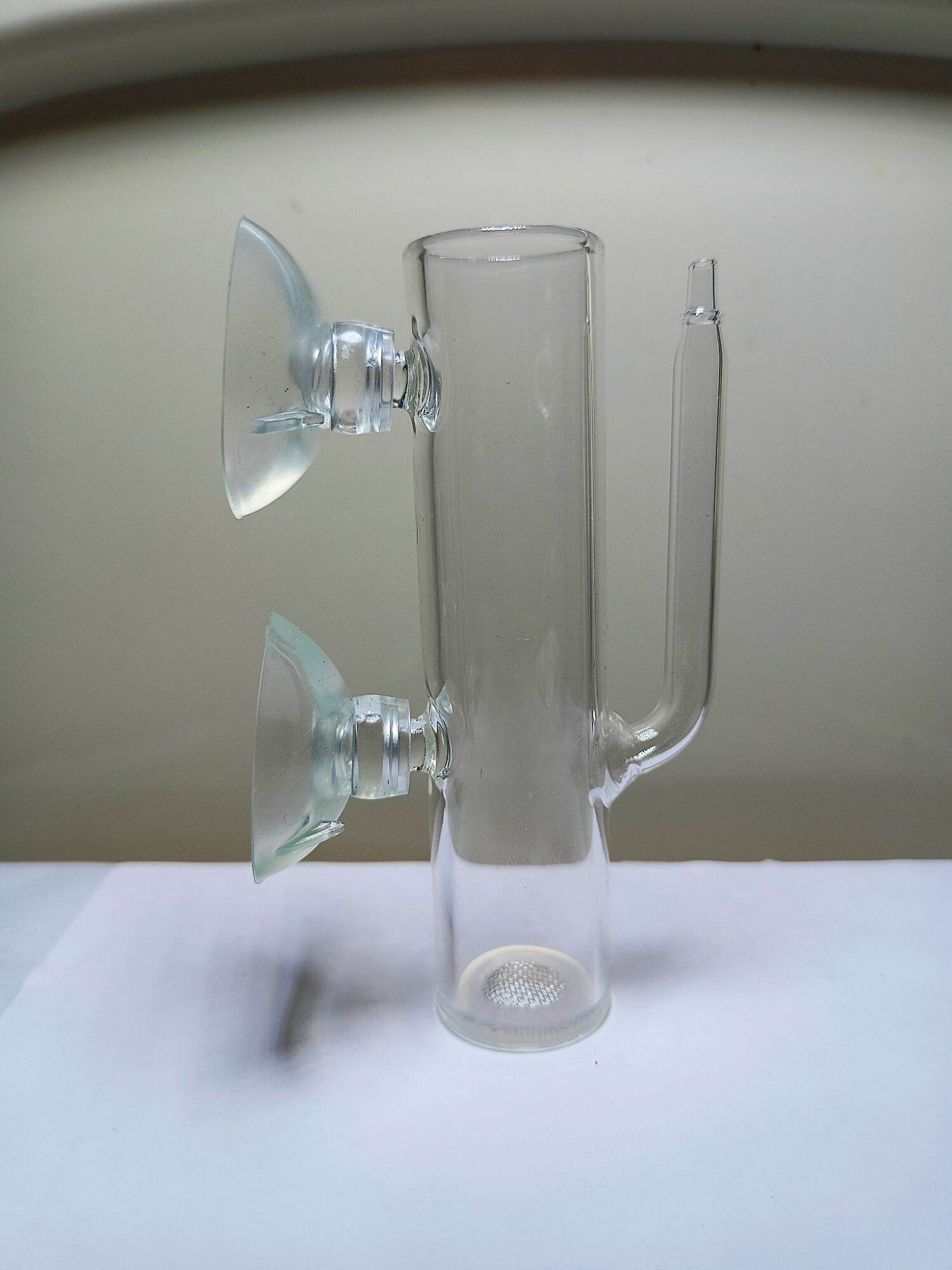 Lồng Ấp Trứng Cho Tép Cảnh