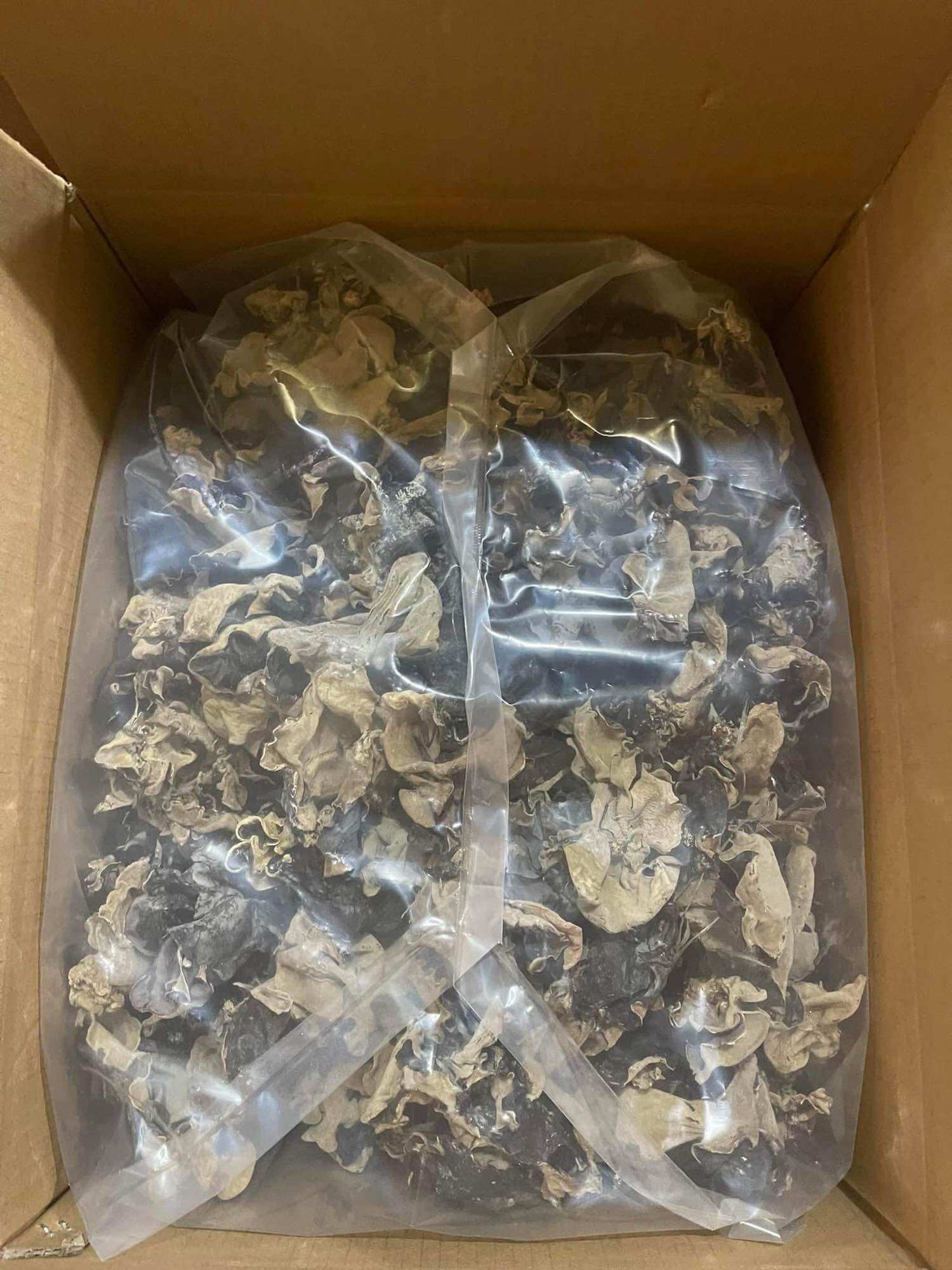 100gr mọc nhĩ ( nấm mèo)